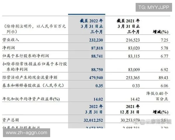 德甲球队净收入排名及财务状况分析