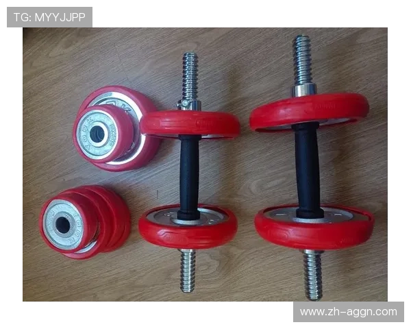 阳锐健身器材官网限时特惠家庭健身套装