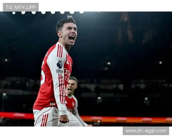 英超球队非欧盟球员的限制与政策 英超球队非欧盟球员的限制与政策