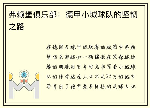 弗赖堡俱乐部：德甲小城球队的坚韧之路